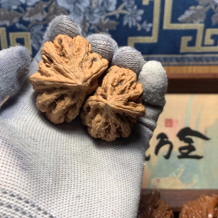 燃***坐哈哈哈哈哈哈哈哈哈