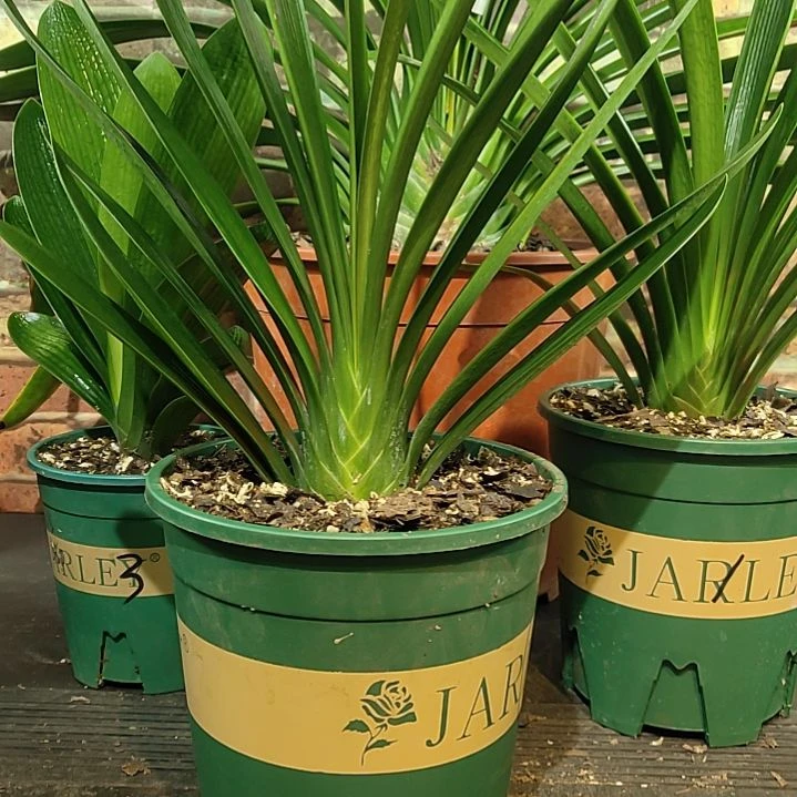 完全开放1111111111