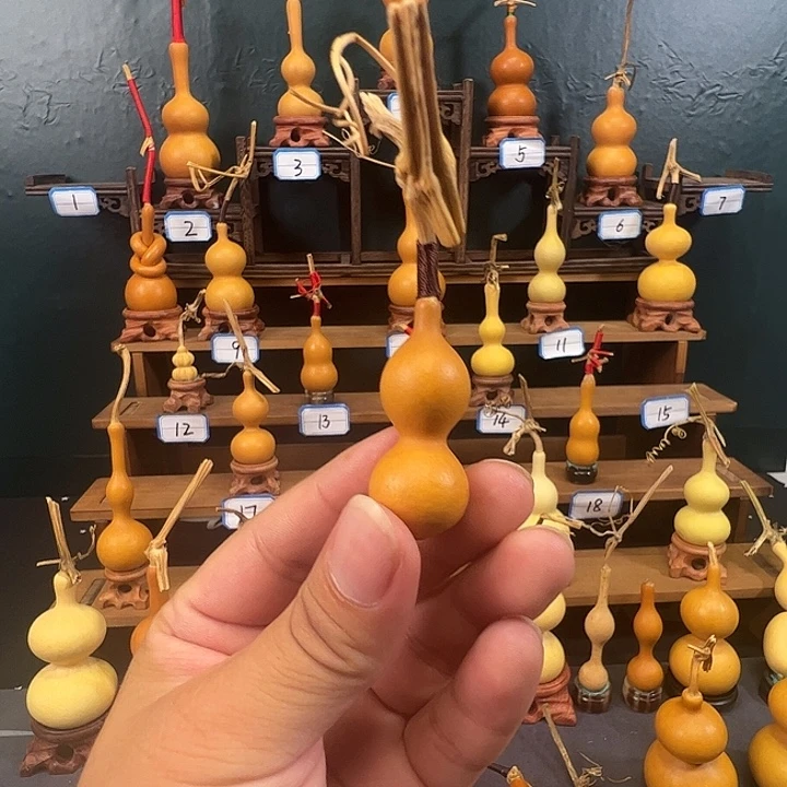 小***&有机玻璃蚂蚁蚂蚁蚂蚁蚂蚁