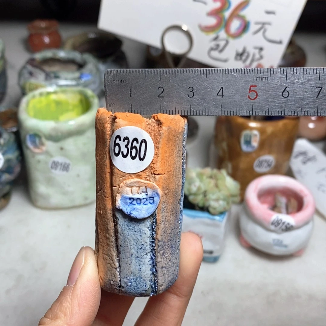 花盆双十二活动不退不换的原28元一个