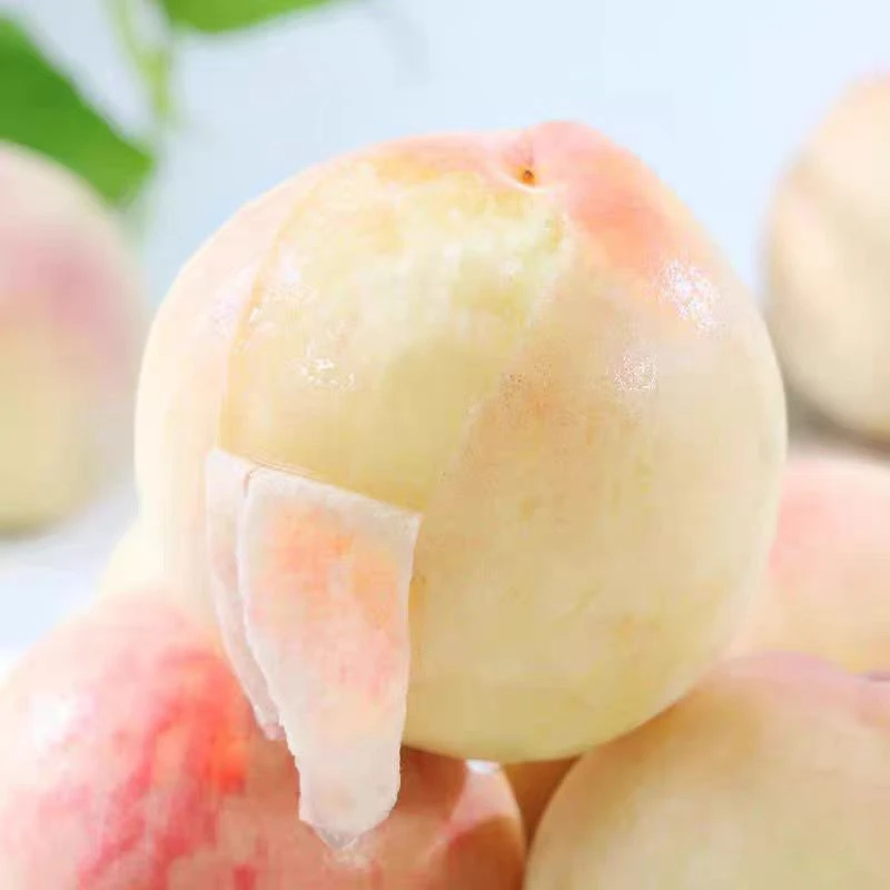 新鲜水蜜桃多汁超甜500g河北省