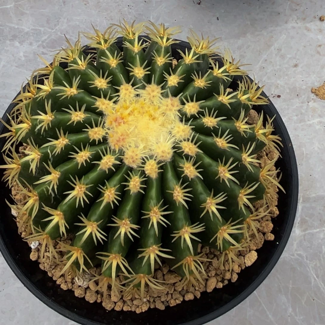 流**精品～朋友价交朋友