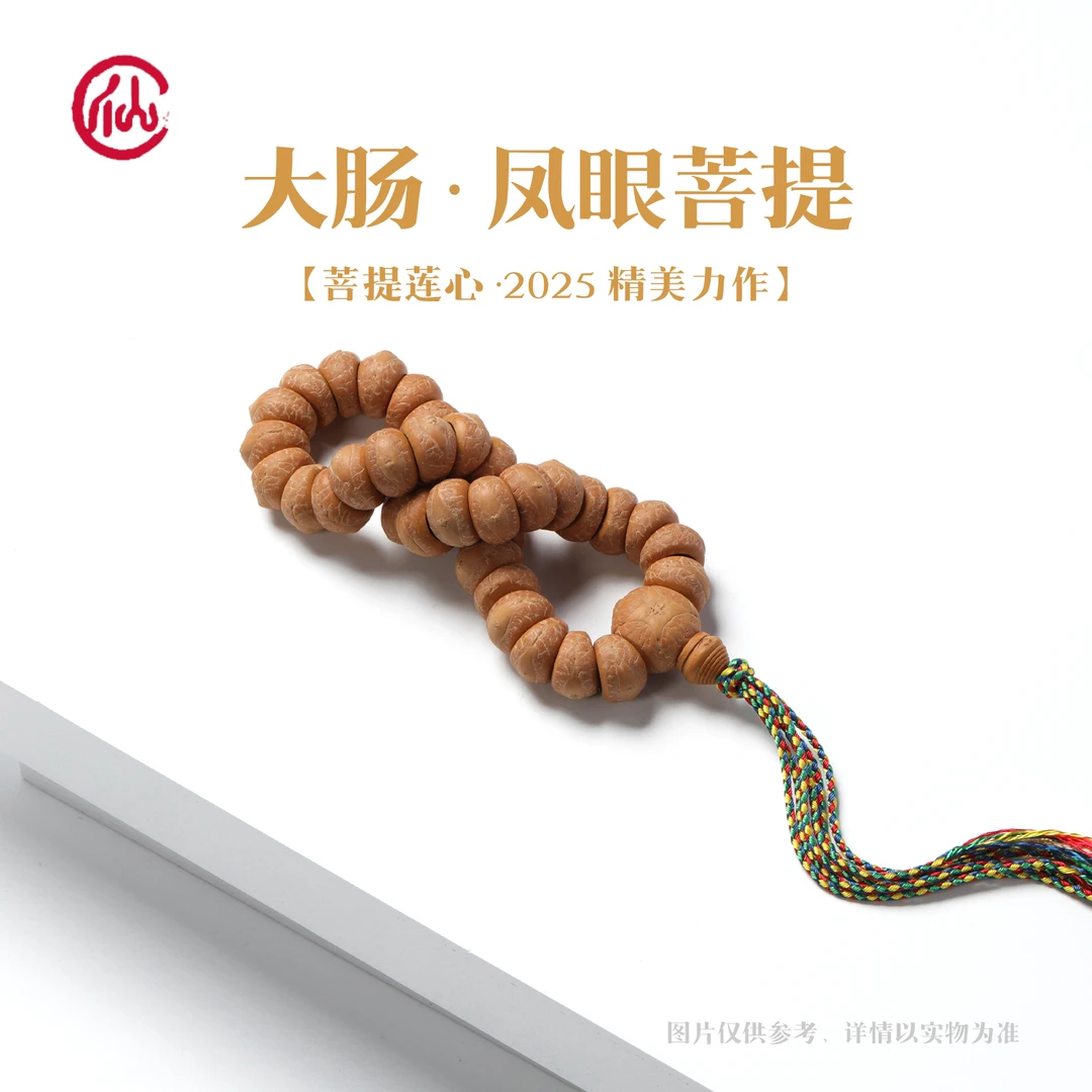菩提莲心【大肠】凤眼菩提2025年新籽精选文玩好物手串手持
