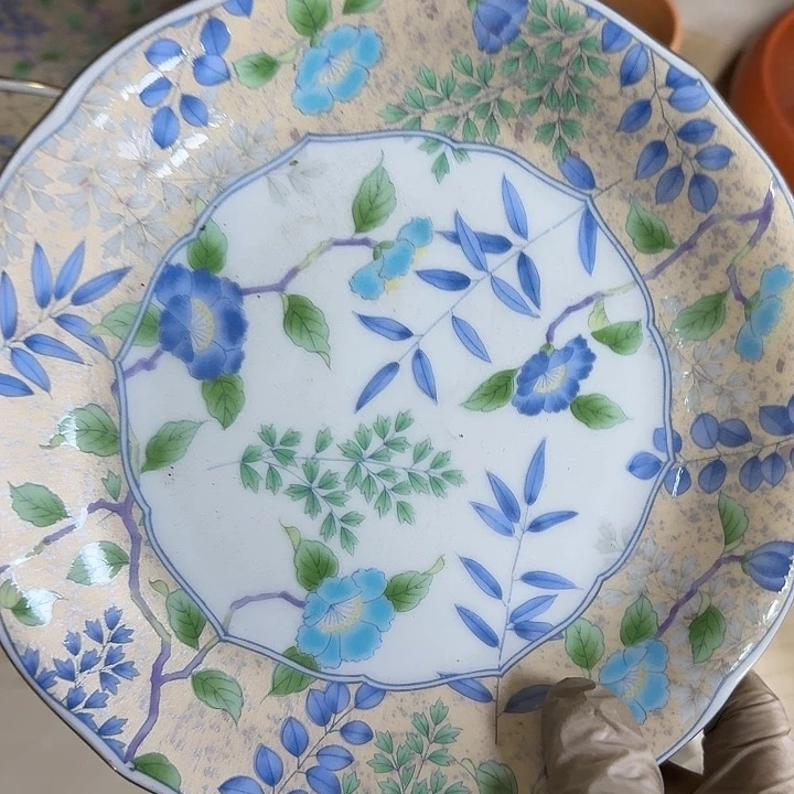 碟开播啦…开播啦