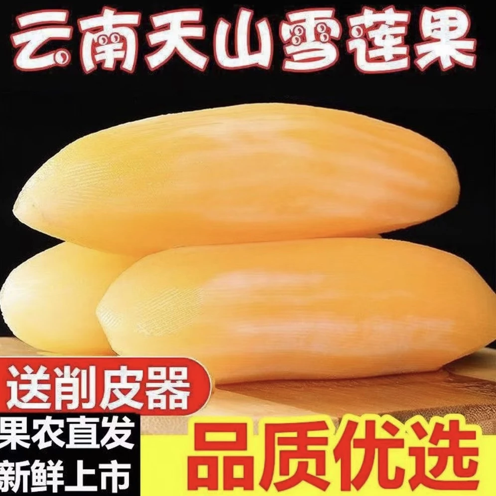 【送削皮刀】S云南天山雪莲果新鲜好吃多汁整箱产地直销坏果包赔