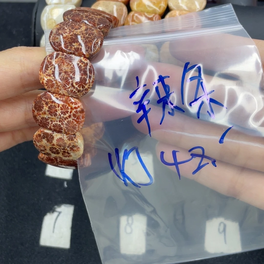 硅化珊瑚（珊瑚玉）合金颈饰辣**?