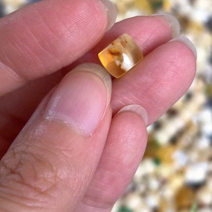 未镶嵌蜜蜡裸石8.3mm一个