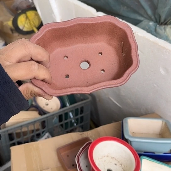 是一个不知名作家与著名导演兼电影