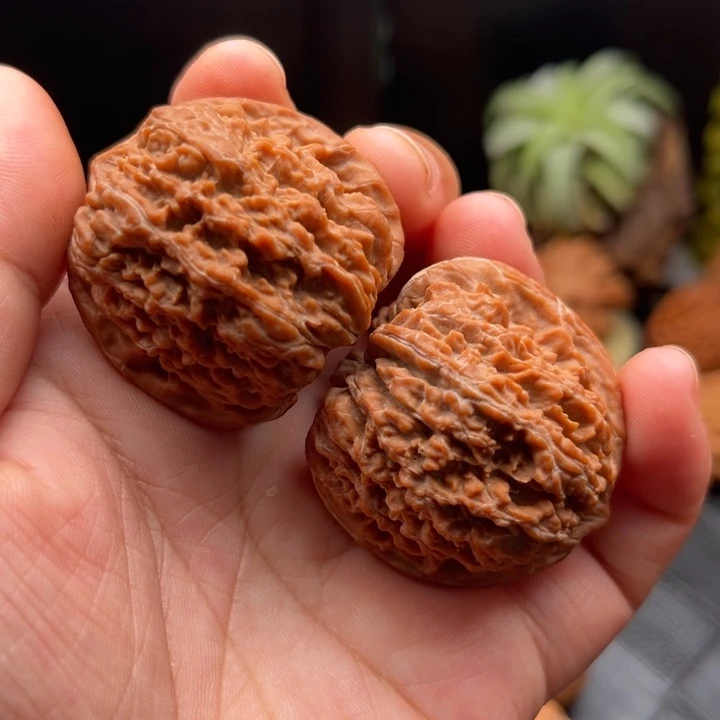 把件文玩核桃137狮子头全品精对
