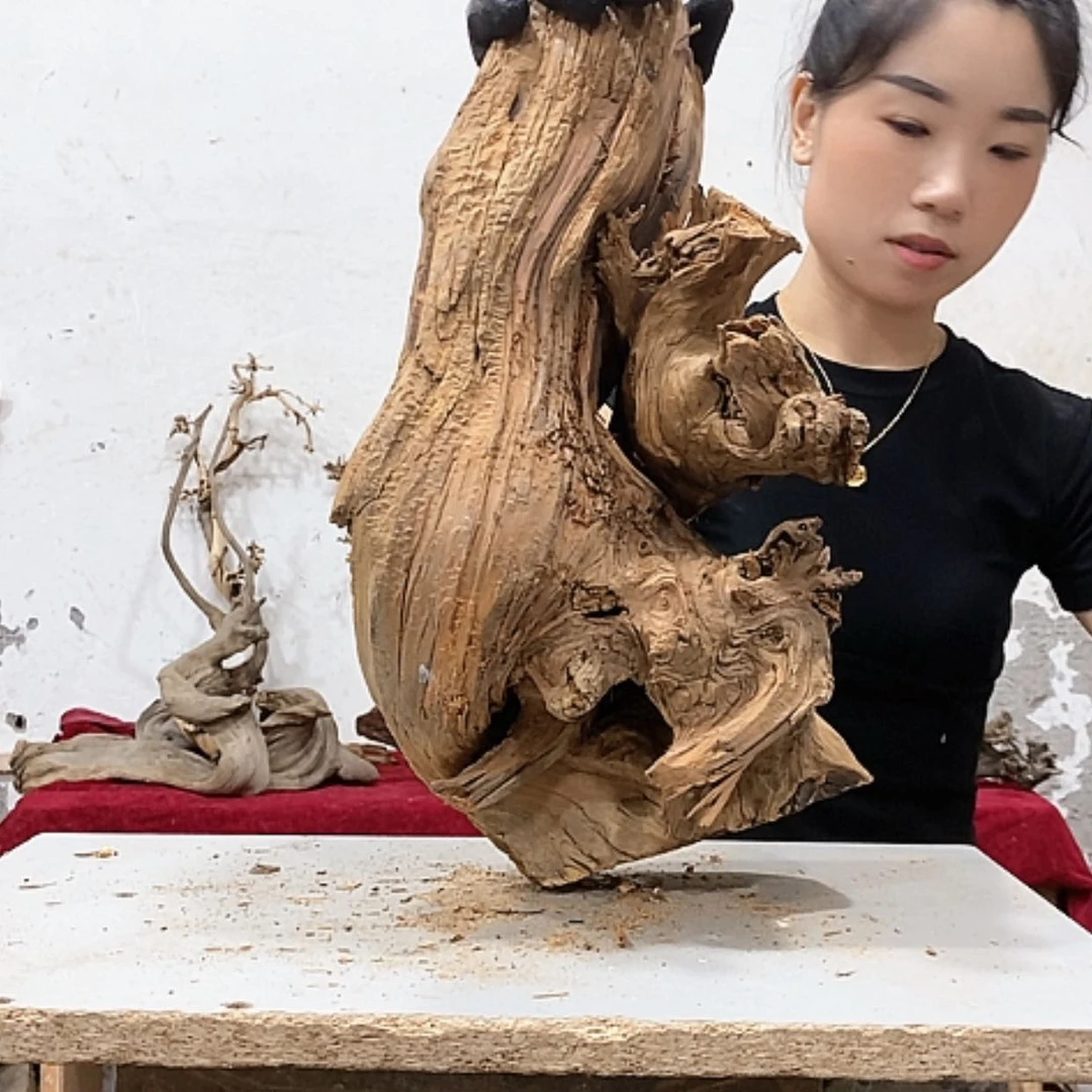 【闪购商品】柏木柏*艺我们都是好孩子