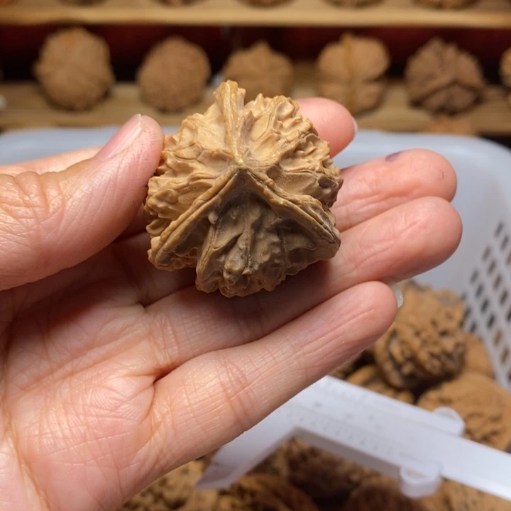 领***•文玩核桃把件文玩