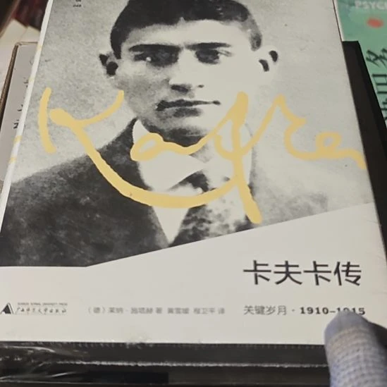 卡夫卡传精装库存书