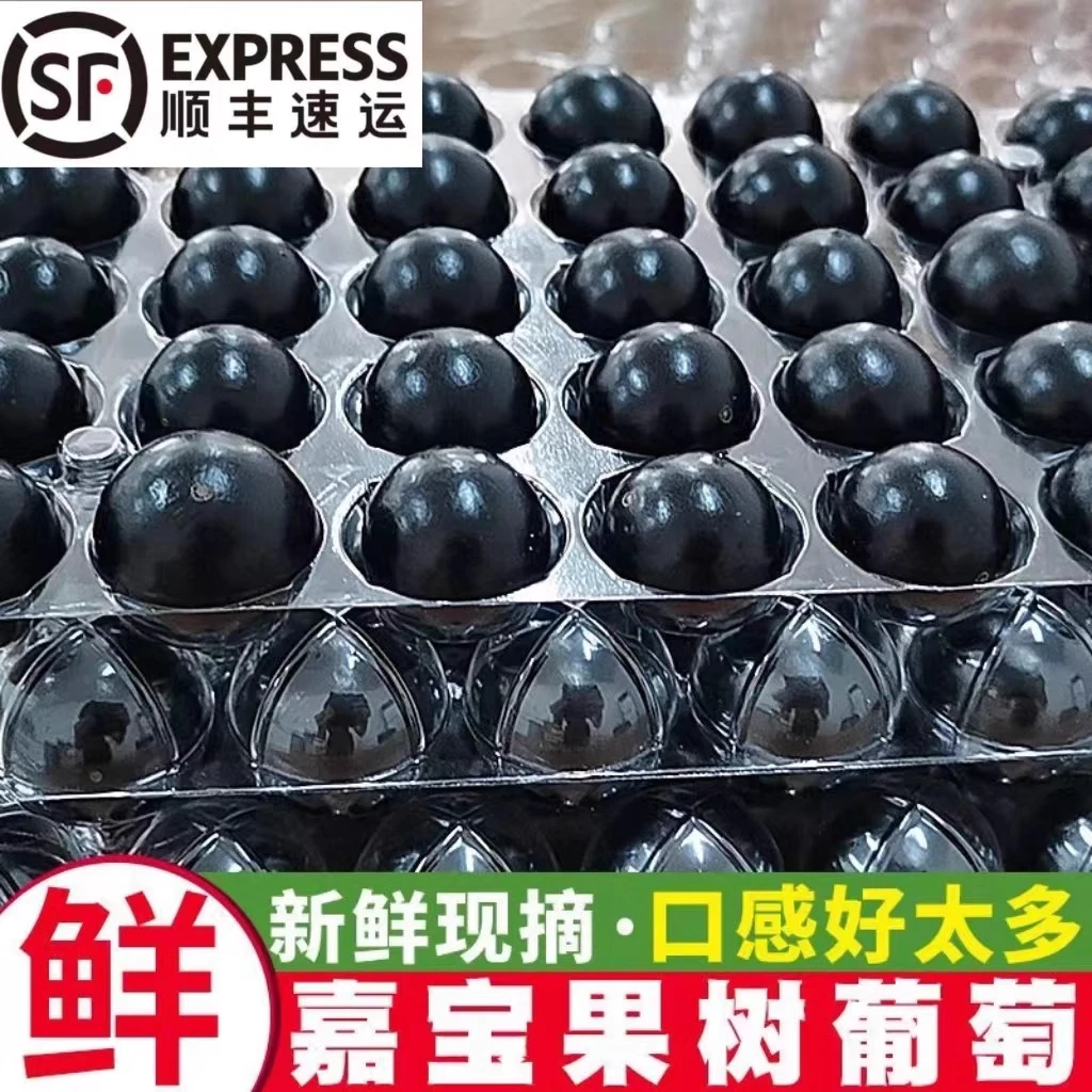 嘉宝果新鲜顺丰树葡萄当季新鲜水果孕妇水果食用少见稀有鲜果1斤