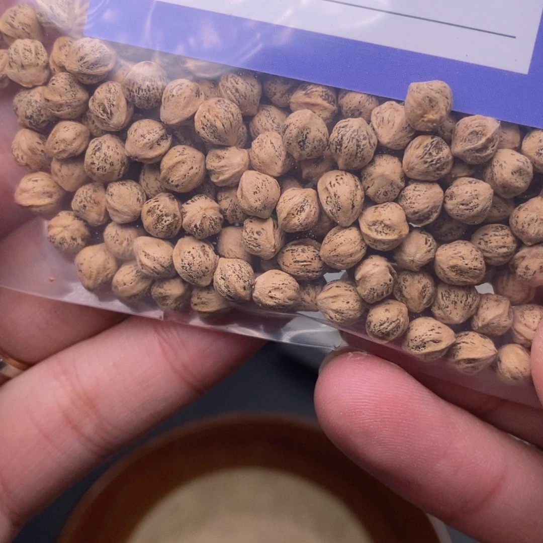 柏香籽/百香籽吊坠出***洋