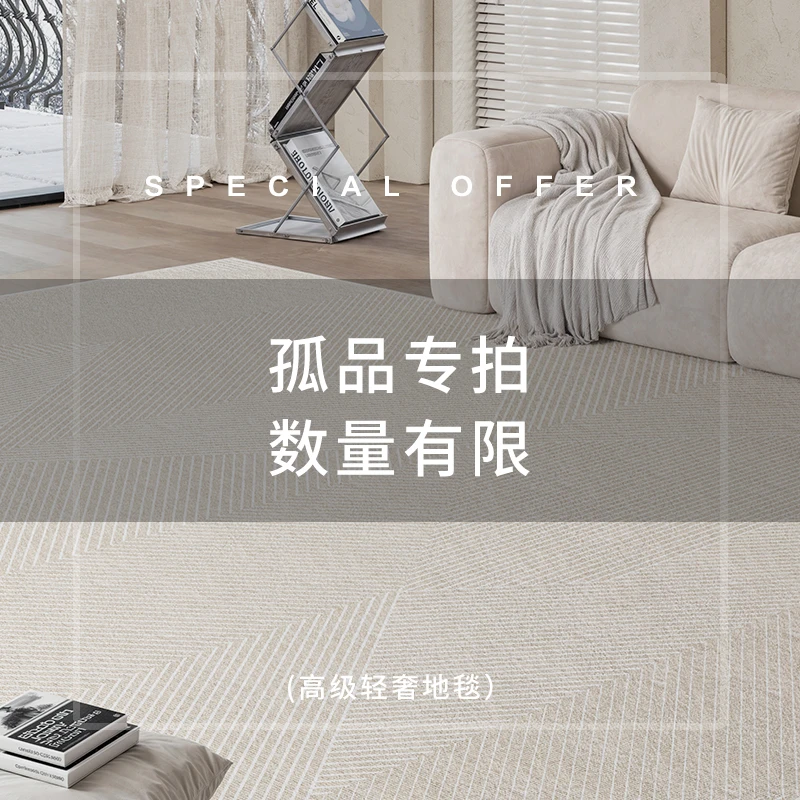 101-150客厅卧室通用简约大气防水免洗可擦加厚地毯茶几毯沙发毯
