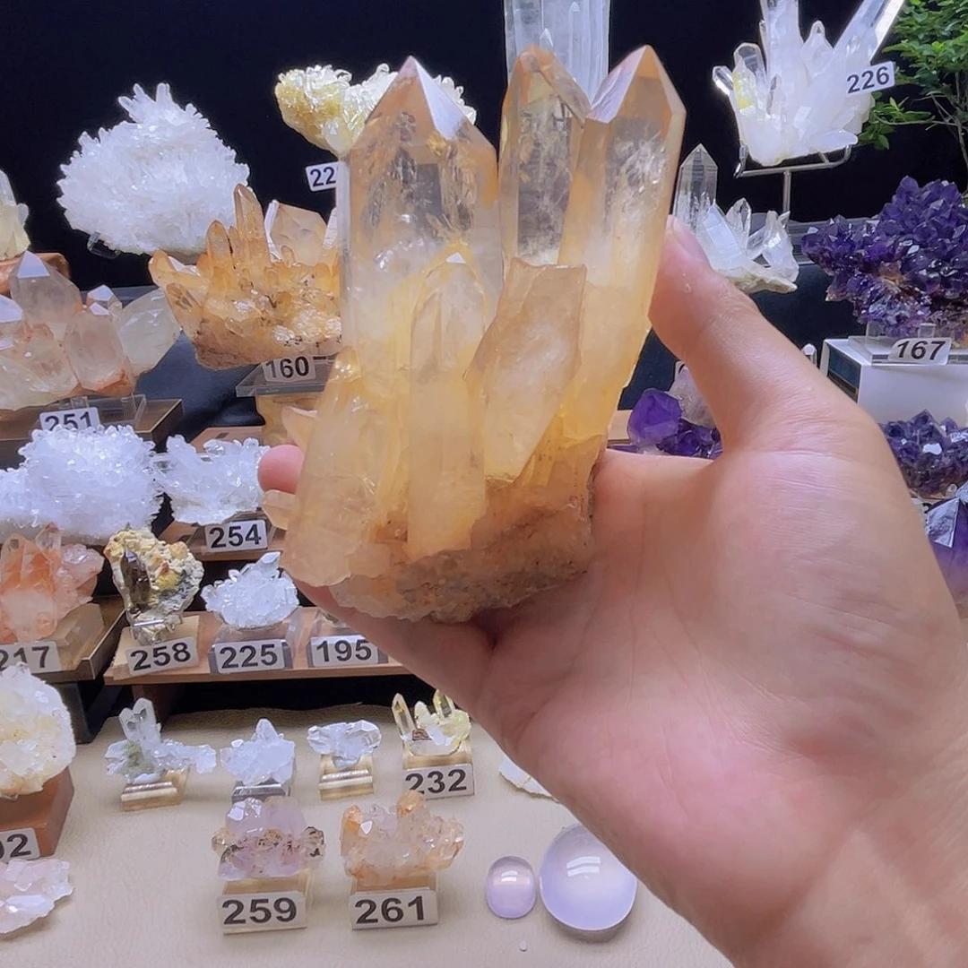 杨***0黄晶簇