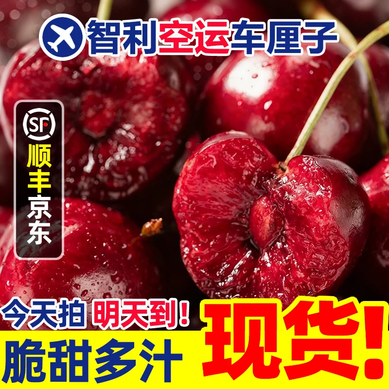 2J大果【今天拍明天到】智利空运车厘子孕妇LL1内附果径卡800g桑提娜樱桃智利共和国