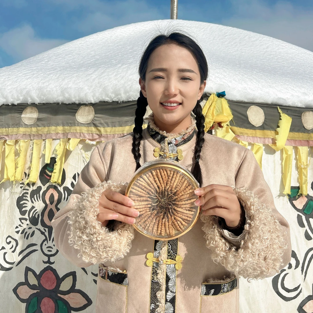 【小卓玛虫草】3根/克-100根2025新冬虫夏草正品虫草送礼自用