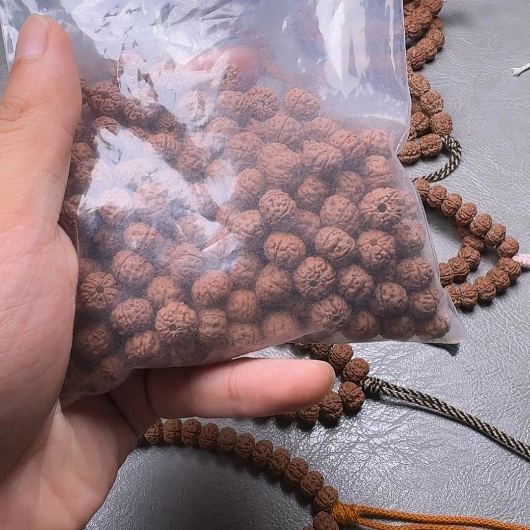 帅***友菩提老树王10+尺寸散籽瑕疵福利150颗