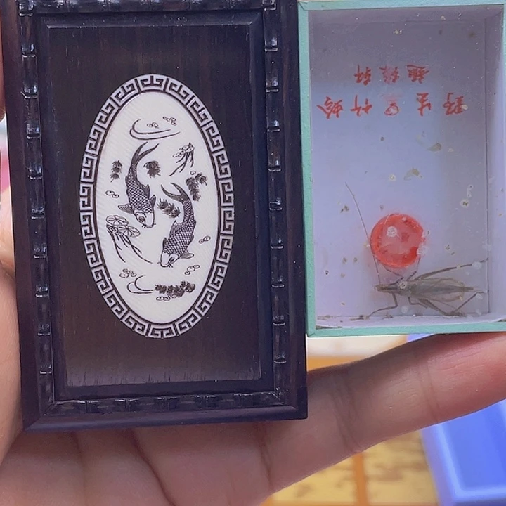 金钟竹玲盒送天水黑