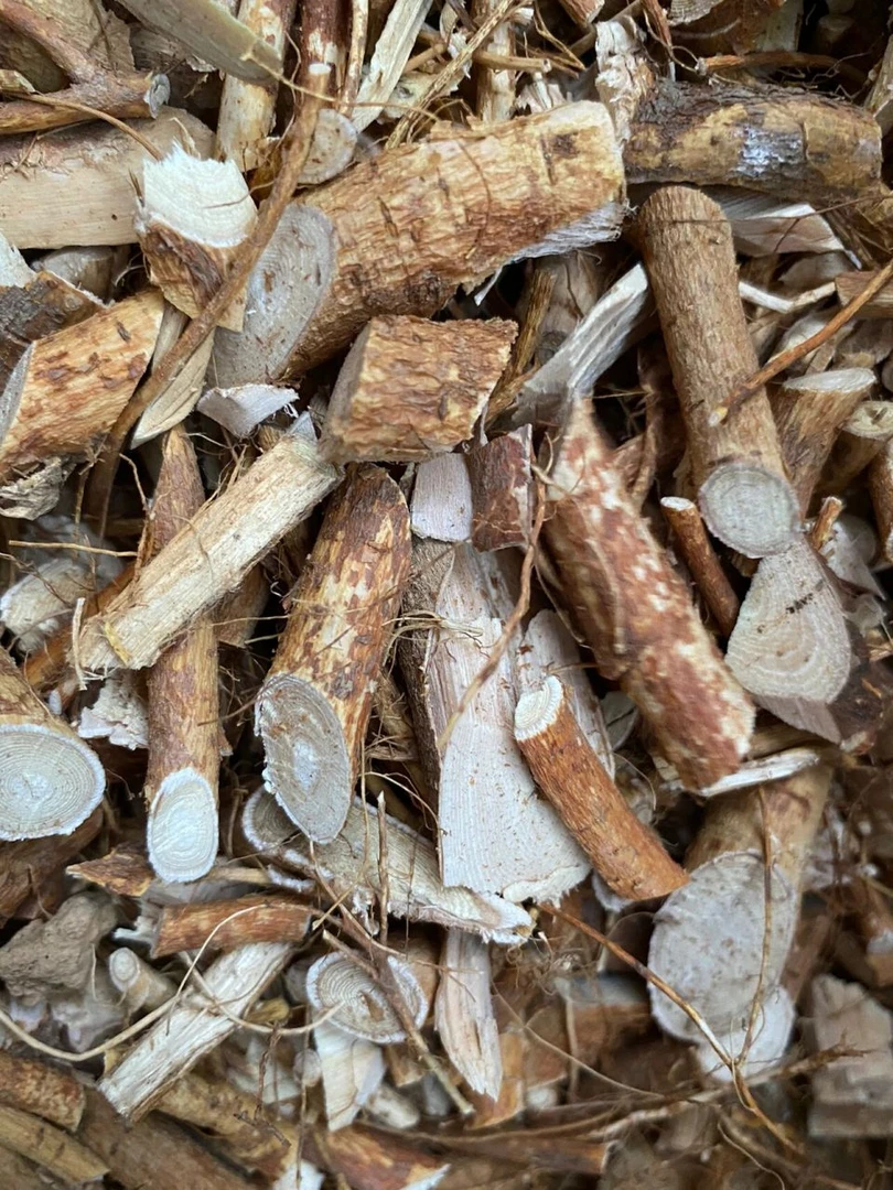 海南野生野生五指毛桃