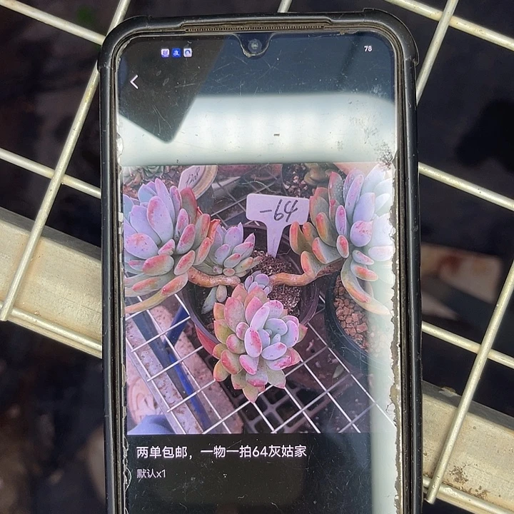 两单包邮，一物一拍64