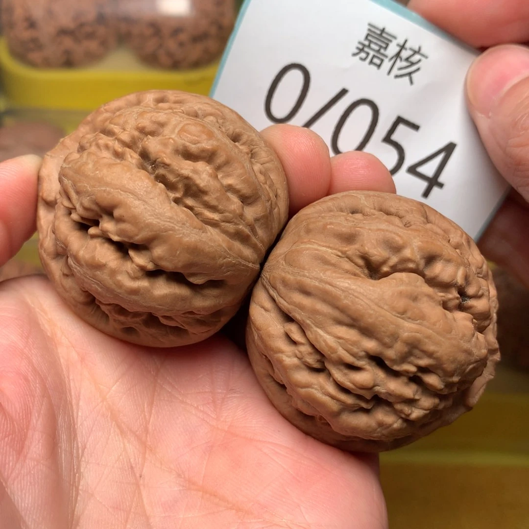 文玩核桃把件肉球霸王龙41