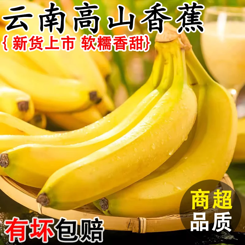 【A7】高山甜香蕉9斤新鲜水果当季现摘大芭蕉小米蕉香甜软糯自然熟