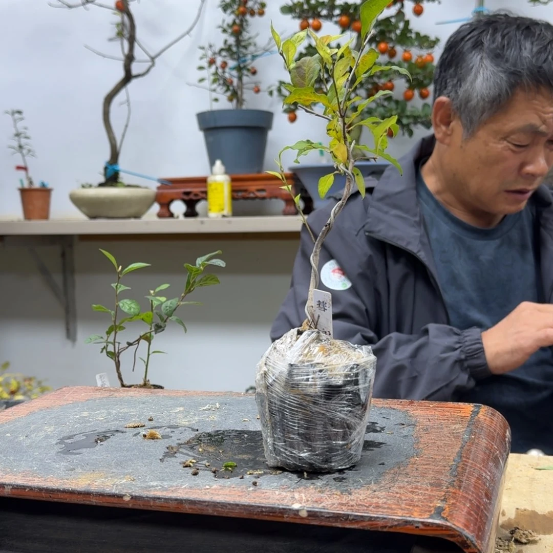 瑞***斌无花朵925顺丰到付不包邮