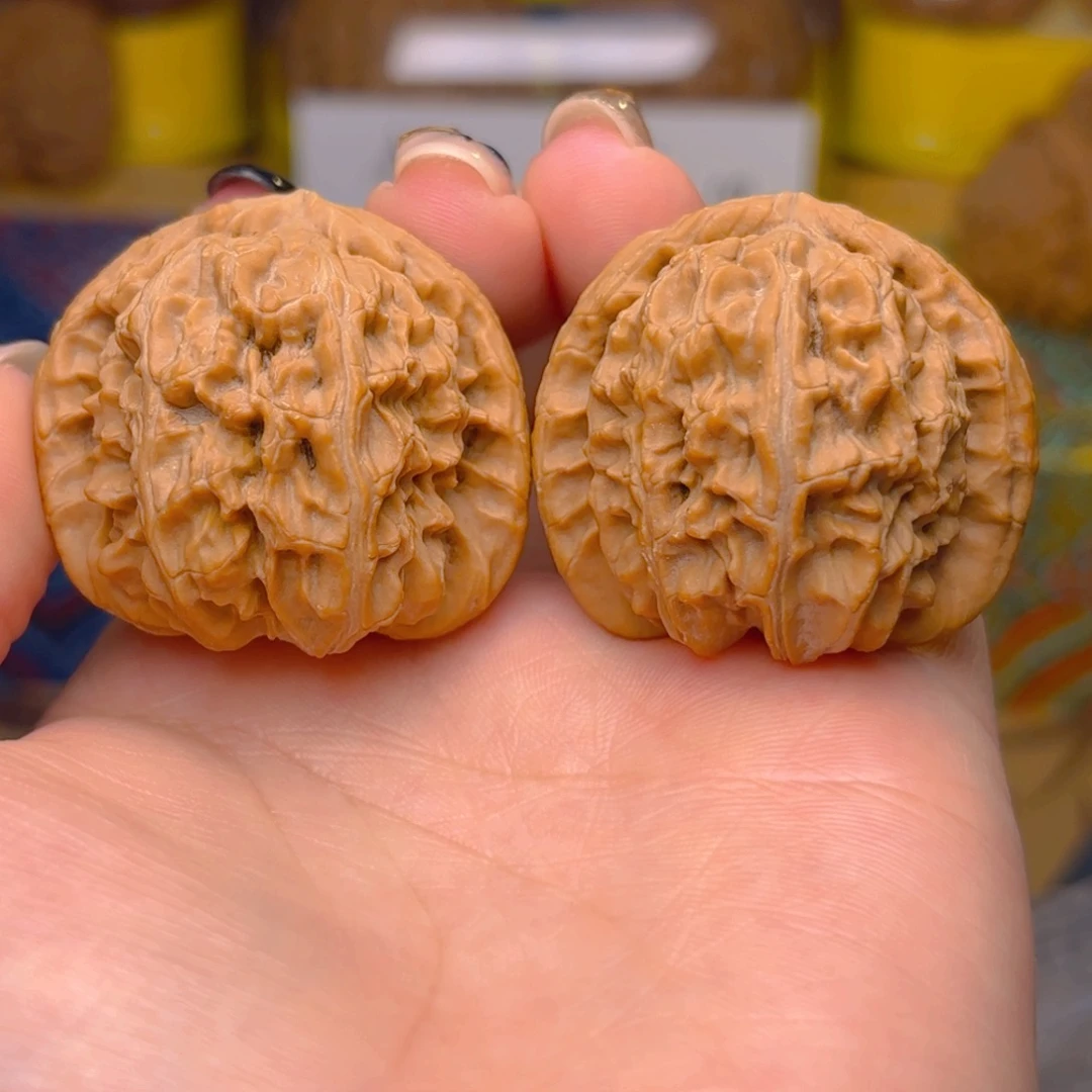 白狮子头三十九尺