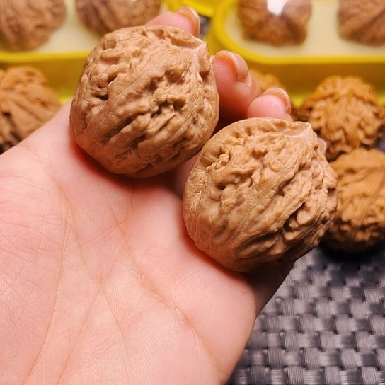 文玩核桃粗筋霸王龙