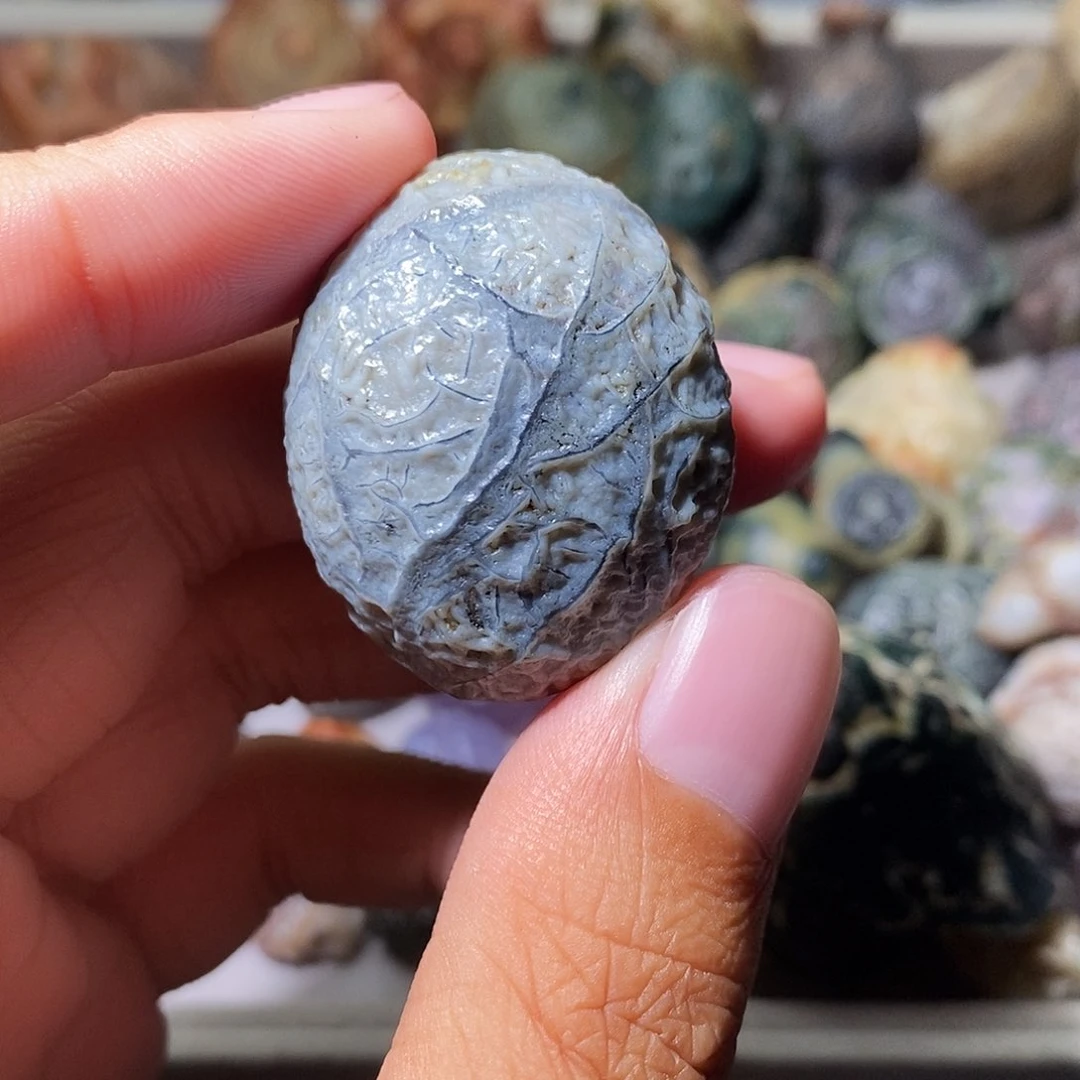 石头精品筋脉单科