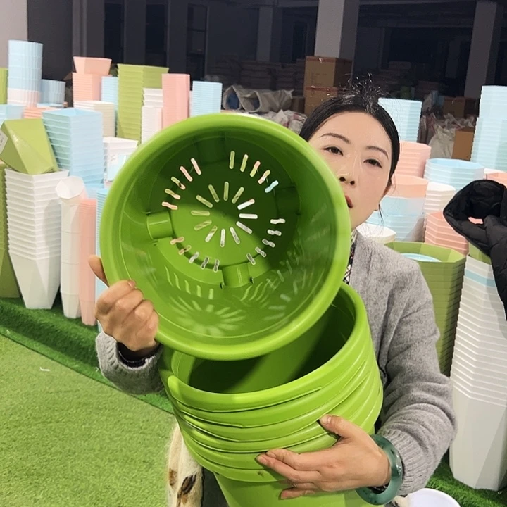 微瑕5号四季口29高24.5果绿7只无托