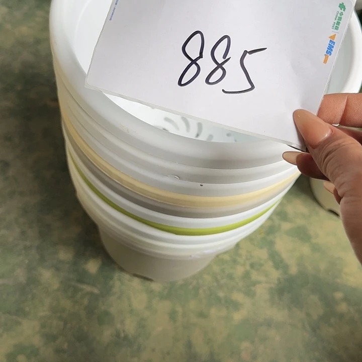 编号885瑕疵缺口特价