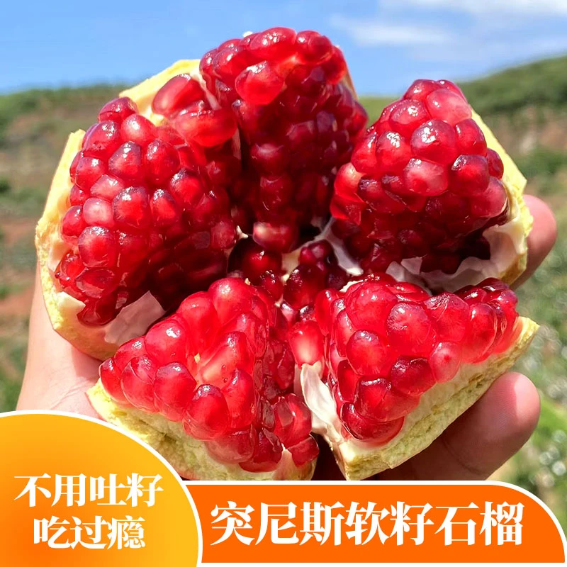四川会理突尼斯软籽石榴甜蜜多汁新鲜应季水果包邮发货
