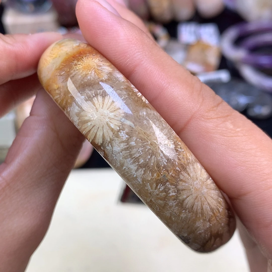 【闪购商品】颈饰未镶嵌硅化珊瑚（珊瑚玉）29号赞比58.5圈