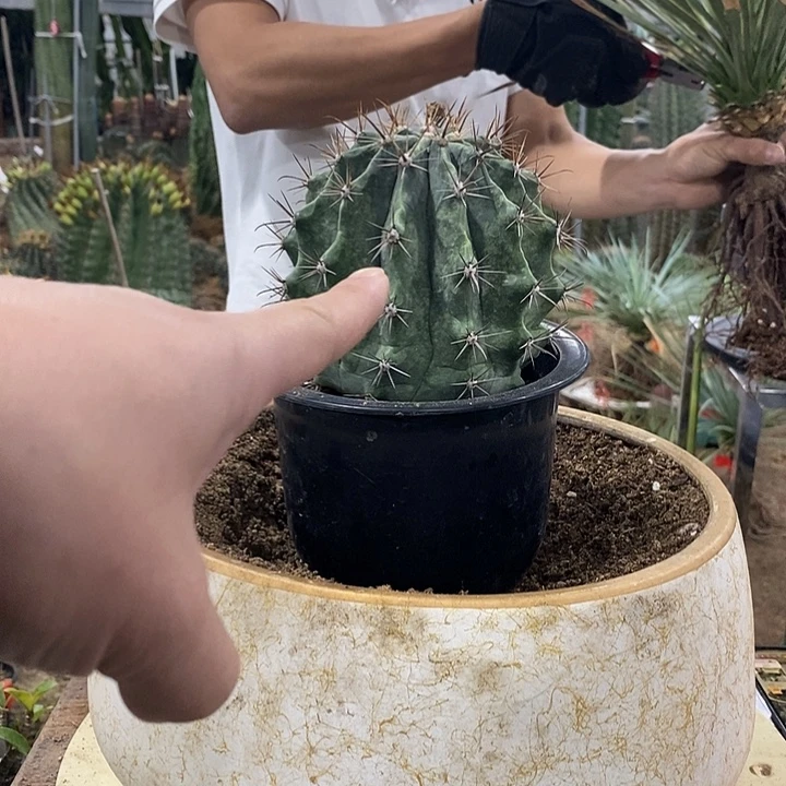 佛****00000000000000000