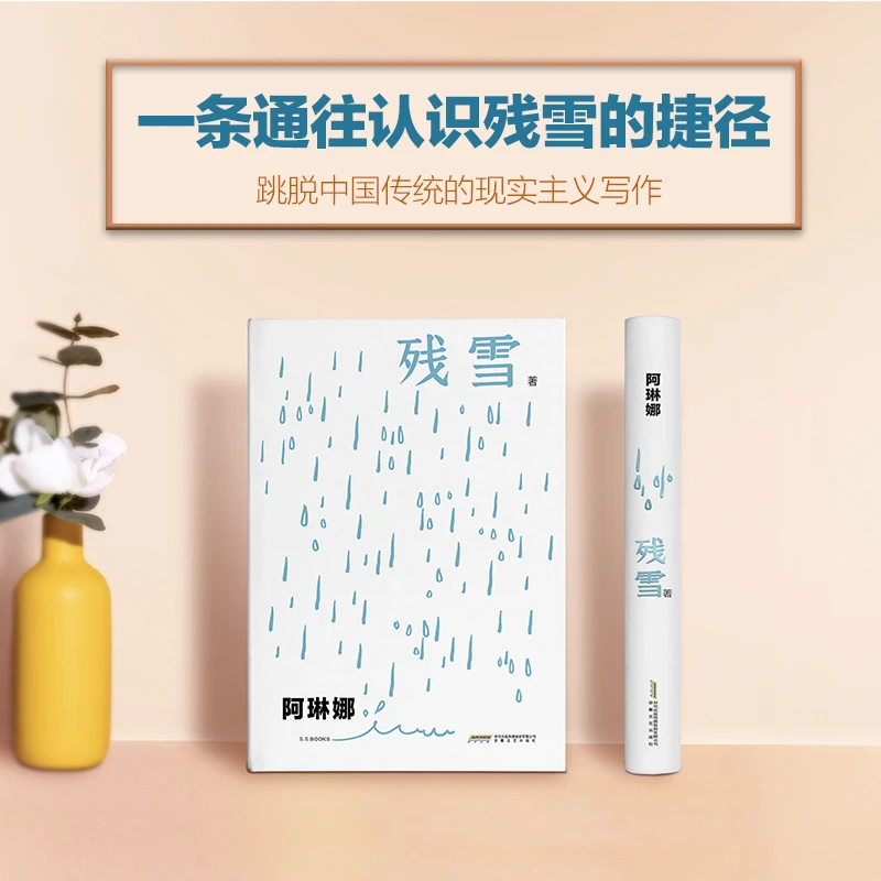 残雪作品精选集夜光版 残雪中短篇小说自选集安徽文艺出版社