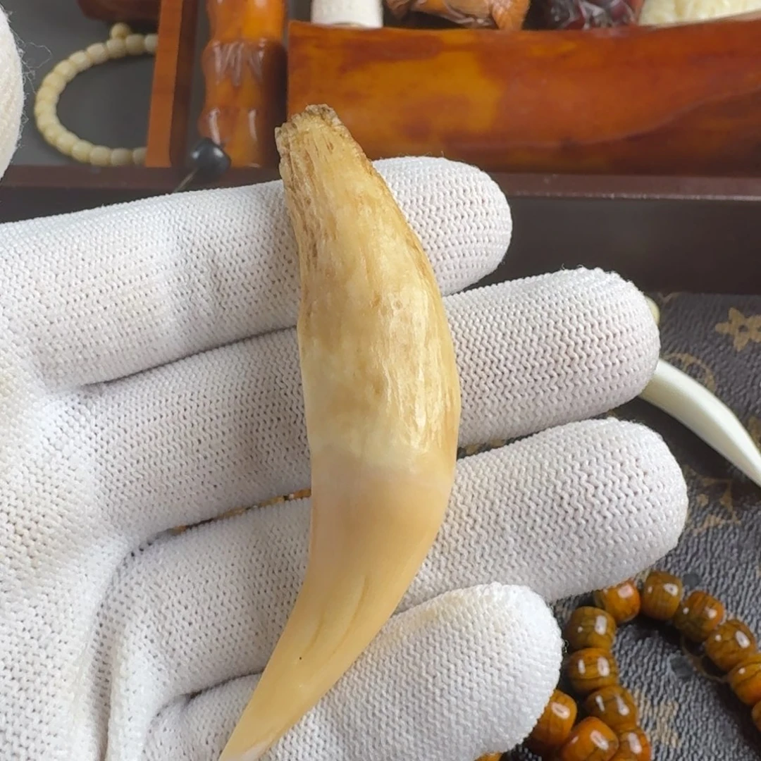 手串/手链牛骨手串