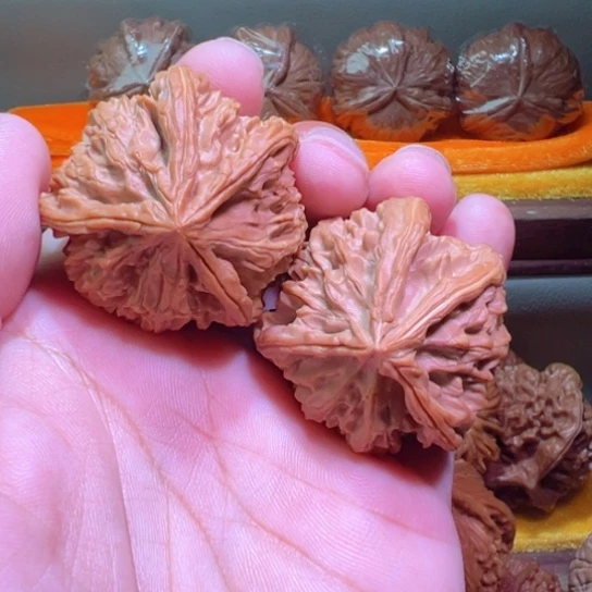 天花板龙首灯笼41边42高