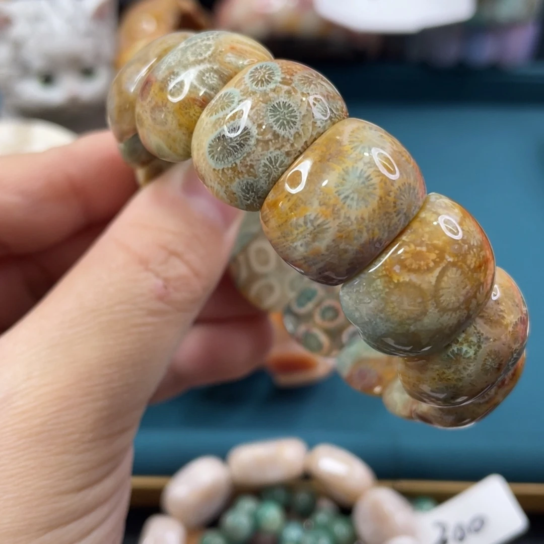 未镶嵌手镯硅化玉