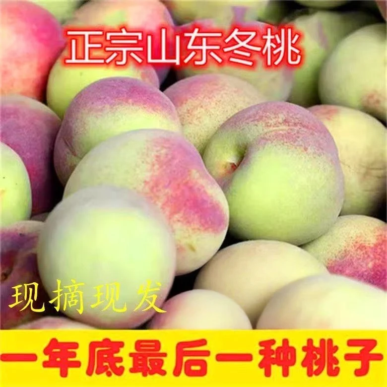 青州蜜桃冬桃硬脆甜秋桃毛桃新鲜青皮桃子小硬桃正宗现摘应季水果