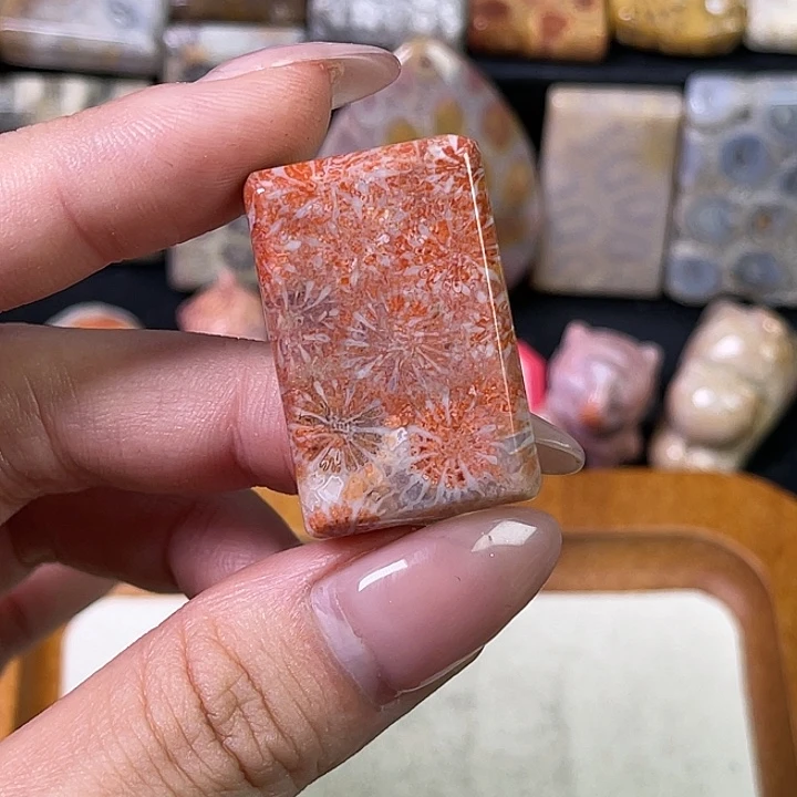 硅化珊瑚（珊瑚玉）珠宝金石合金桐****⁸