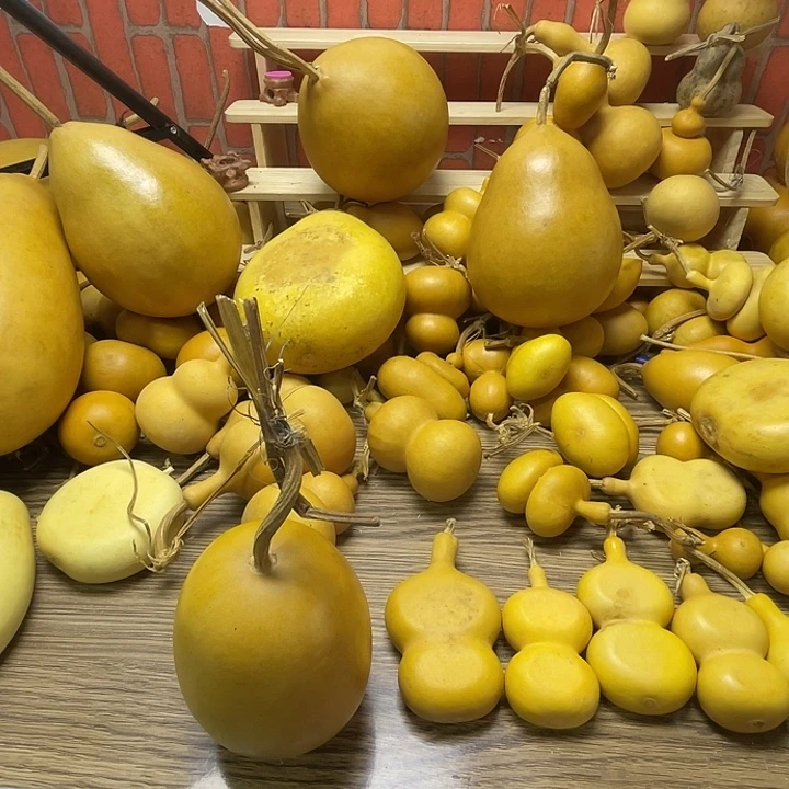 南***喃哈哈哈哈哈哈哈哈哈