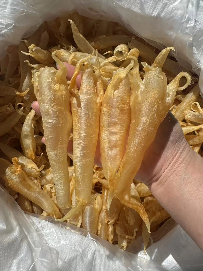 潮汕 惠来神泉 永太海产品 北海鱼胶公筒胶 孕妇级滋补250g-500g