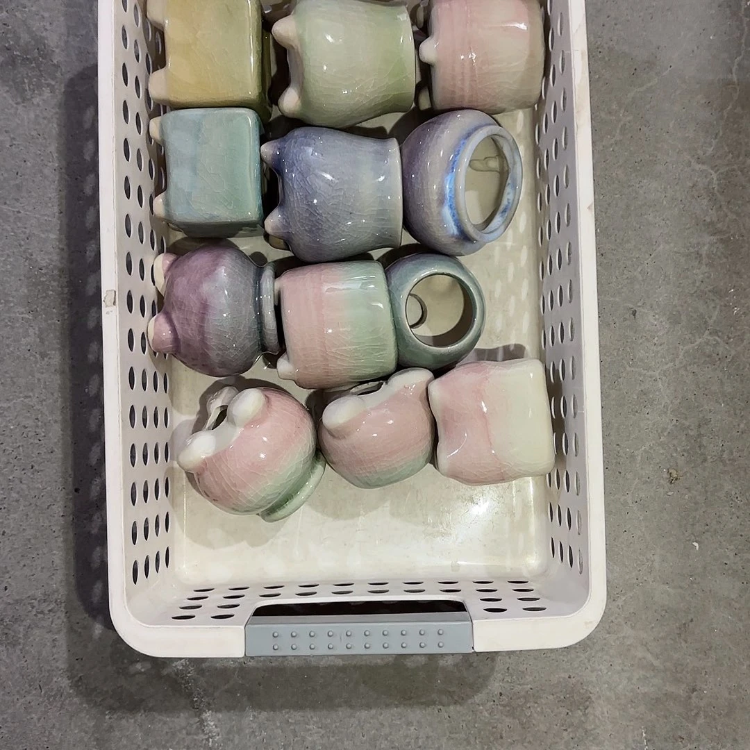 大***亮量货/高深浅搭配发12