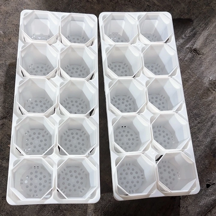 7公分八角盆20个含托架