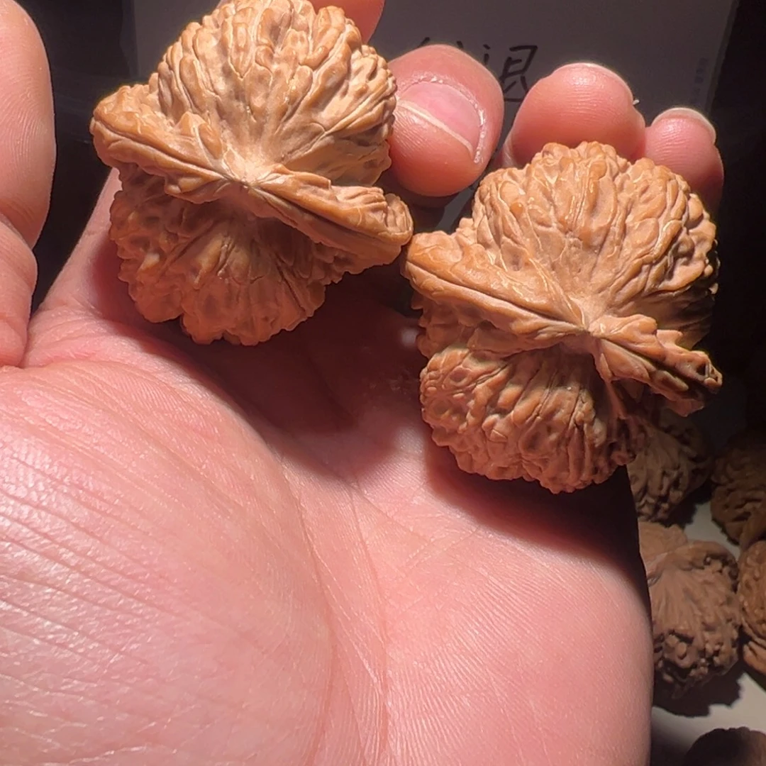 文玩核桃把件42尺全品球白狮子