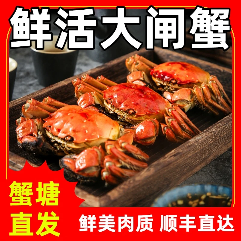 【活蟹现发】江苏大闸蟹4两母,5两公/4对(8只)