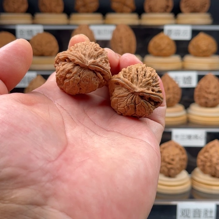 *****全品31尺寸白狮子舍异形